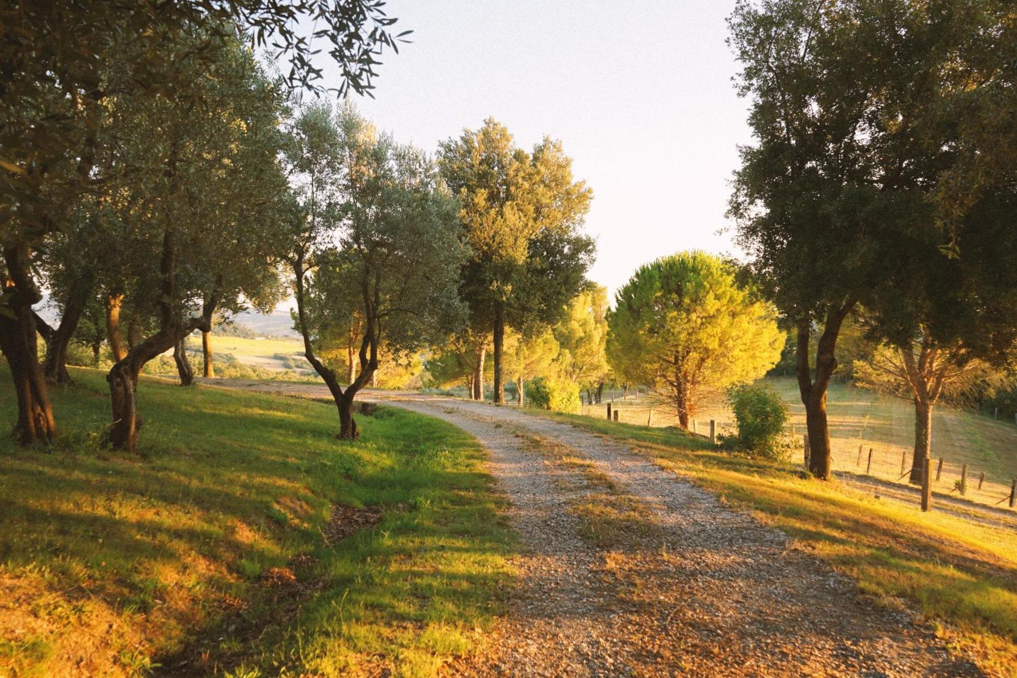 Villa Fonteintanata Miemo Dış mekan fotoğraf
